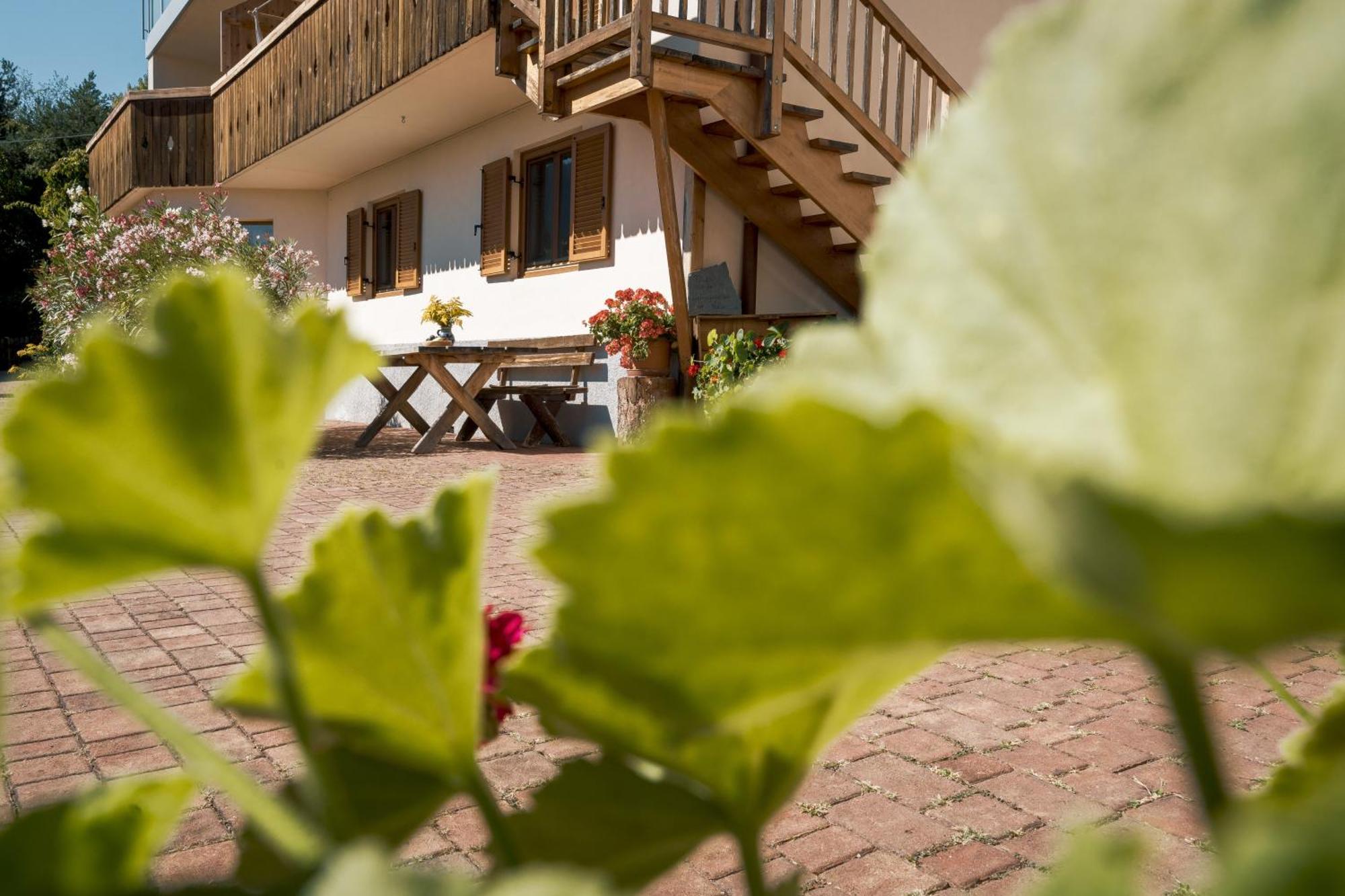 Villa Haflingerhof San Genesio Atesino Esterno foto