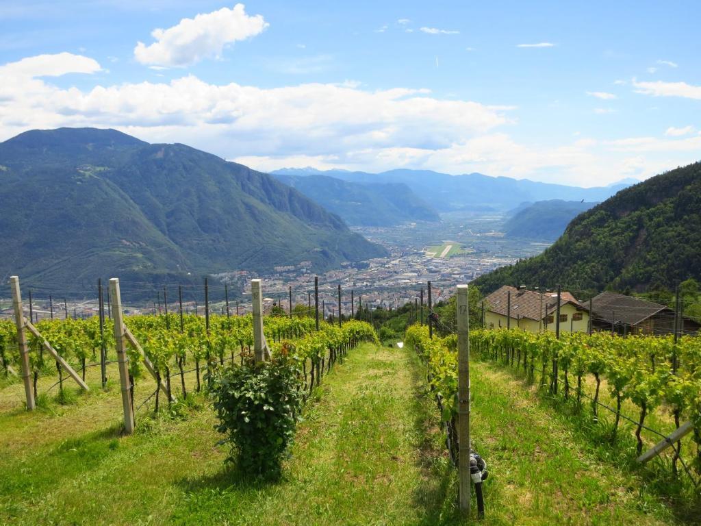 Villa Haflingerhof San Genesio Atesino Esterno foto