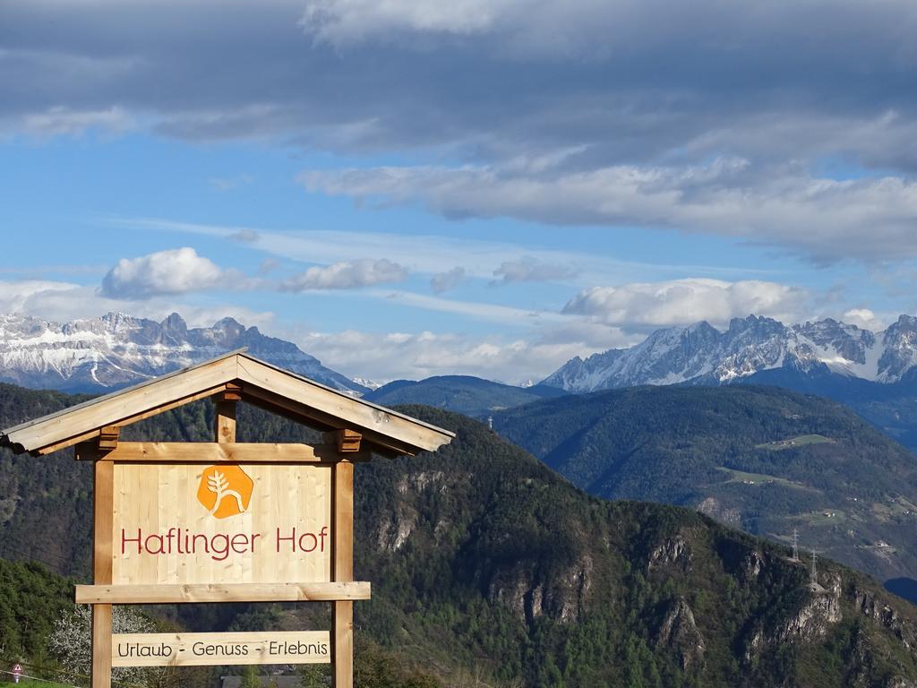 Villa Haflingerhof San Genesio Atesino Esterno foto