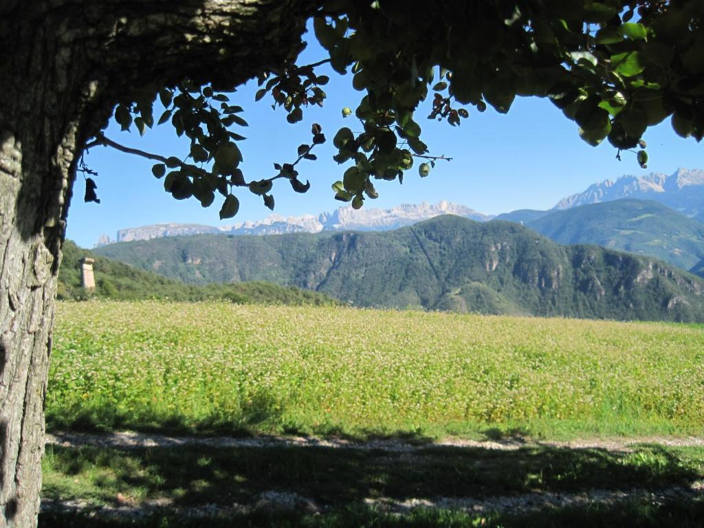Villa Haflingerhof San Genesio Atesino Esterno foto